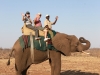 Zimbabwe elephant ride -18