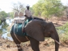 Zimbabwe elephant ride -6