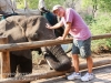 Zimbabwe elephant ride -8