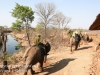 Zimbabwe elephant ride -9
