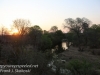 Zimbabwe elephant ride sunset-2
