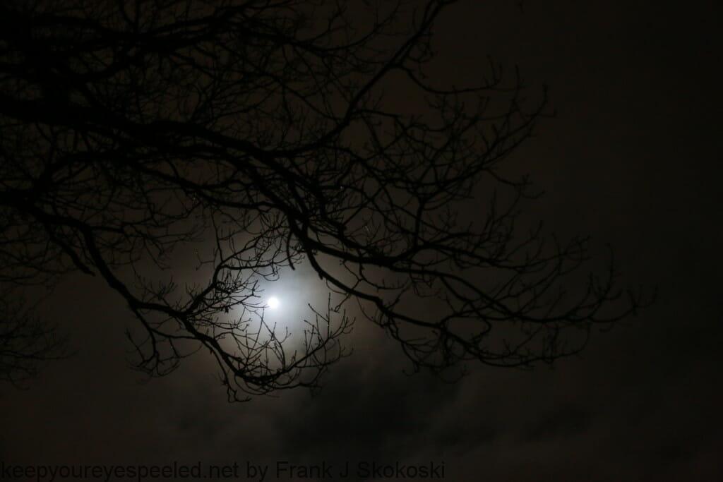 Cold February Moon 027