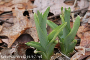 Signs of Spring April 9 2015 (20 of 23)