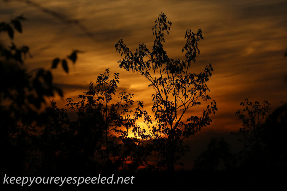 greenridge sunset (12 of 13)