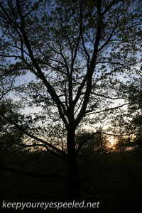 greenridge sunset (3 of 13)