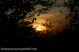 greenridge sunset (4 of 13)