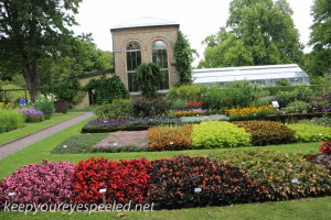 Lund sweden Botanical Gardens (3 of 11)