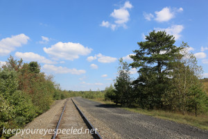 Railroad track hike  (14 of 25)