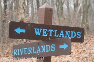 PPL Wetlands and Riverlands  (31 of 47)