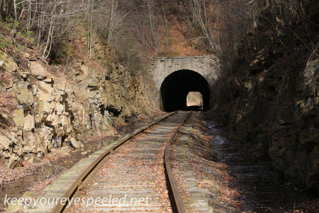 Hazle Brook jeddo Tunnel (2 of 17)