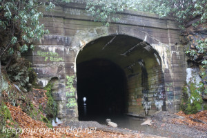 Lofty tunnel  (3 of 18)