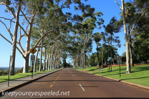 Australia Perth King's Park and Botanical gardens walk -42