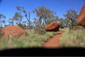 Uluru   hike -24