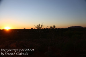 Desert gardens sunrise -18