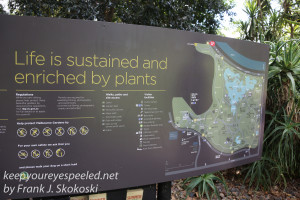 Melbourne Botanical gardens -1