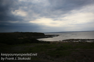 Phillip Island-4