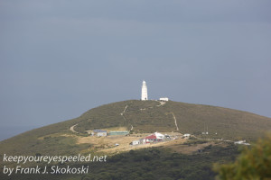 Tasmania BrunyIsland Lighthouse-5