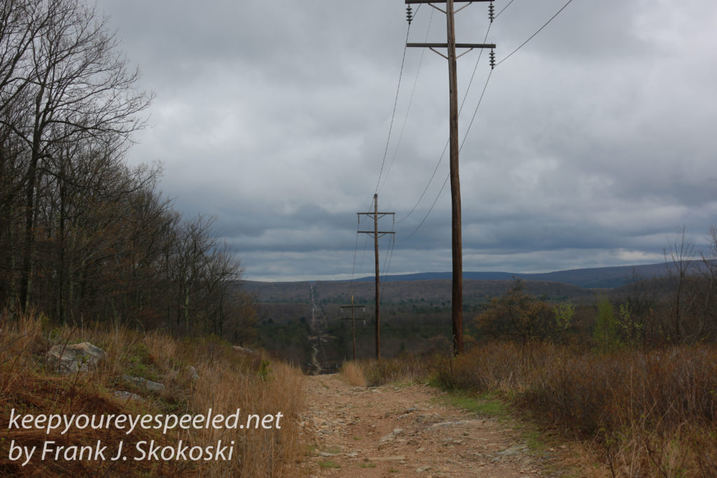 stocton rails to trails -25
