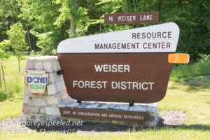 Weiser State Forest -58