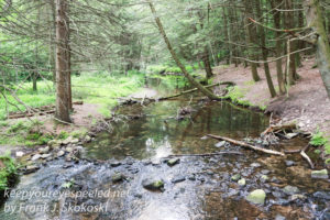 roaring creek hike -22