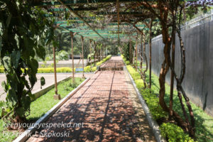 kigali-genocide-memorial-grounds-4