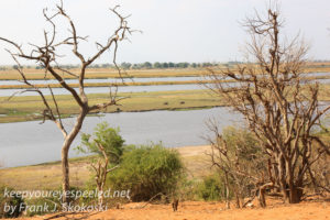 botswana-chobe-safari-landscape-29
