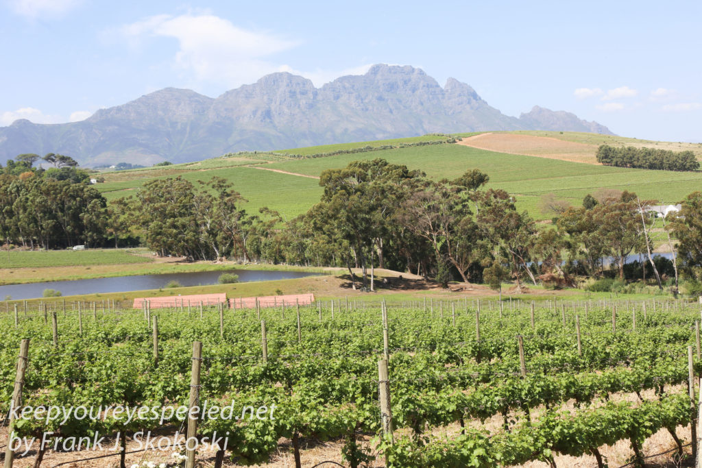 south-africa-boschendal-winery-29