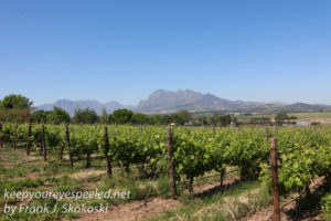 south-africa-wine-country-drive-7