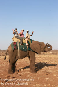 zimbabwe-elephant-ride-18