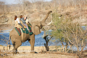 zimbabwe-elephant-ride-24