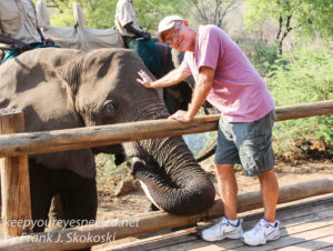 zimbabwe-elephant-ride-8