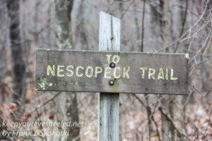 nescopeck-state-park-7