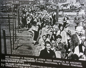 Auschwitz exhibits -15