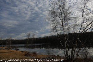 leafless birch trees and clouds surrounding Lake Irena