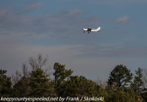 small plane taking off above trees 