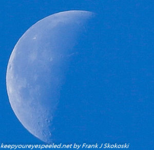 close up of waning gibbous moon 