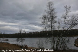 bare trees and clouds at lake 