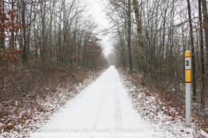snow covered trail 