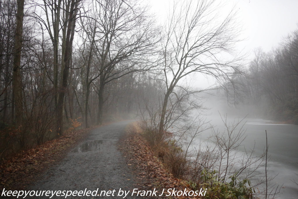 fog on lehigh canal trail