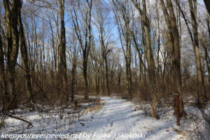 bare trees along snow covered trail 
