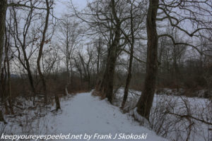snow covered trail 