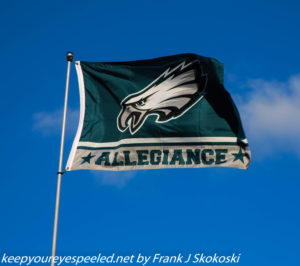 Philadelphia Eagles flag 