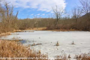 ice covered pond in wetlands 