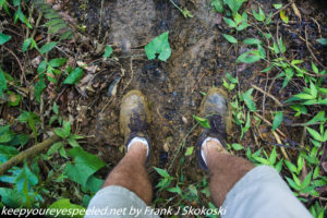 muddy shoes in rain forest 