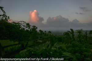 clouds at sunset rain forest