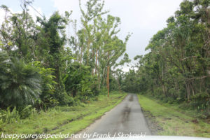 road to rainforest Inn 