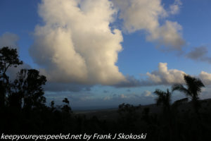 cumulus clouds over rain forest
