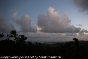 clouds over rain forest at dawn 