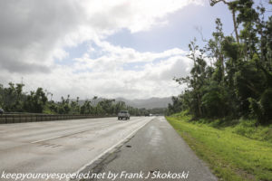 trees and clouds on Highway 52 Puerto Rico 