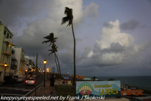 palm trees and clouds along Atlantic Ocean shore